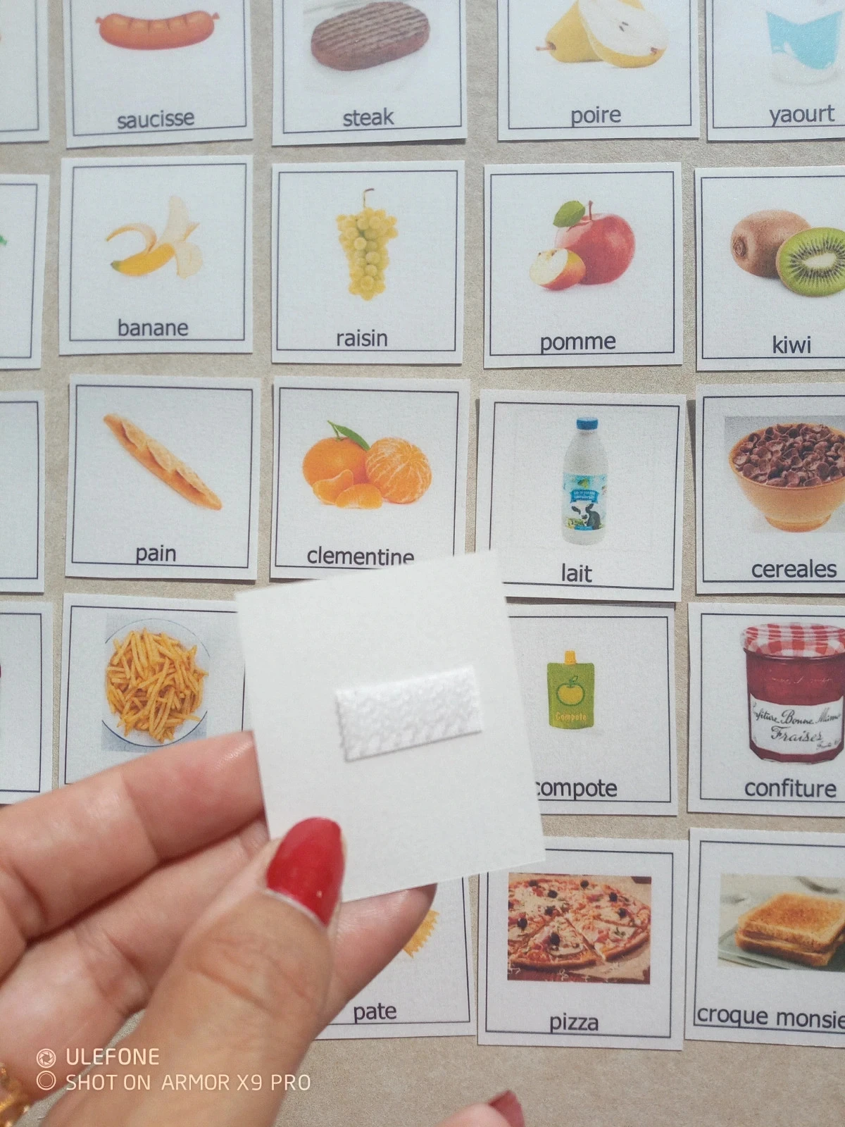 vocabulario nomenclatura alimentación – photo 2